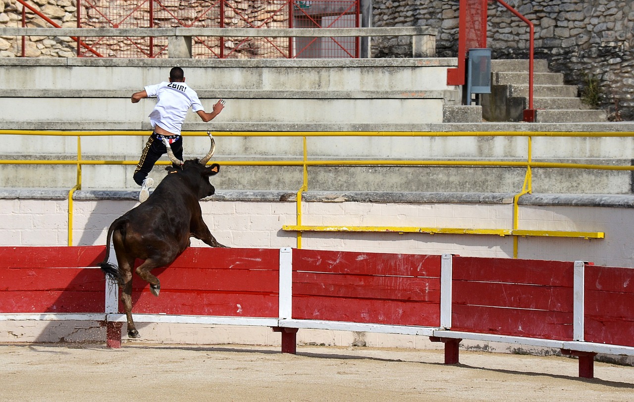 渴望在射手